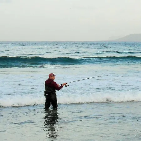Absolute Beachfront カレタ・デ・ファマラ