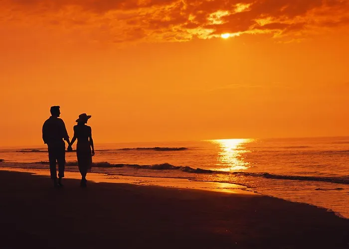 Absolute Beachfront 아파트